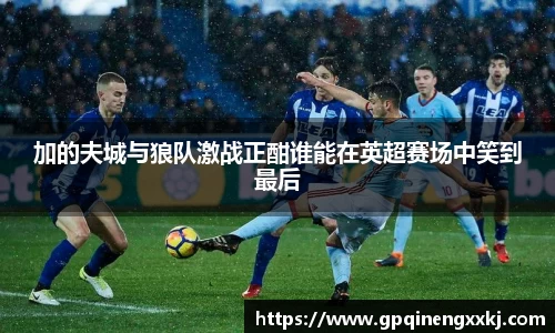熊猫体育